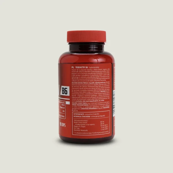 تریبو اکتیو B6 (تریبولوس اکتیولب) | Activlab Tribuactiv B6 1 مکمل Activlab با تریبولوس و منیزیم برای متابولیسم انرژی