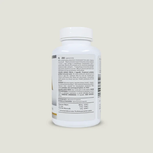 کپسول ZMA اکتیولب 90عددی| ACTIVLAB ZMA CAPS 1 کپسول ZMA اکتیولب برای ورزشکاران و بهبود کیفیت خواب