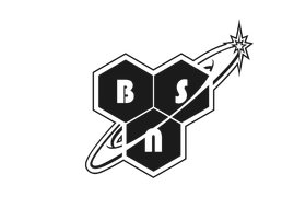 لوگو bsn